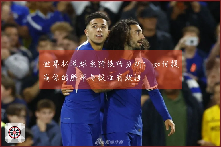 世界杯滚球竞猜技巧分析：如何提高你的胜率与投注有效性