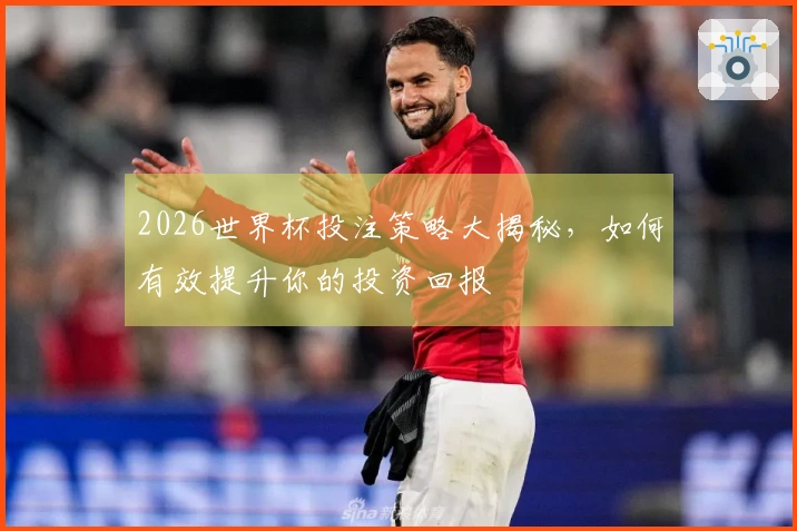 2026世界杯投注策略大揭秘，如何有效提升你的投资回报